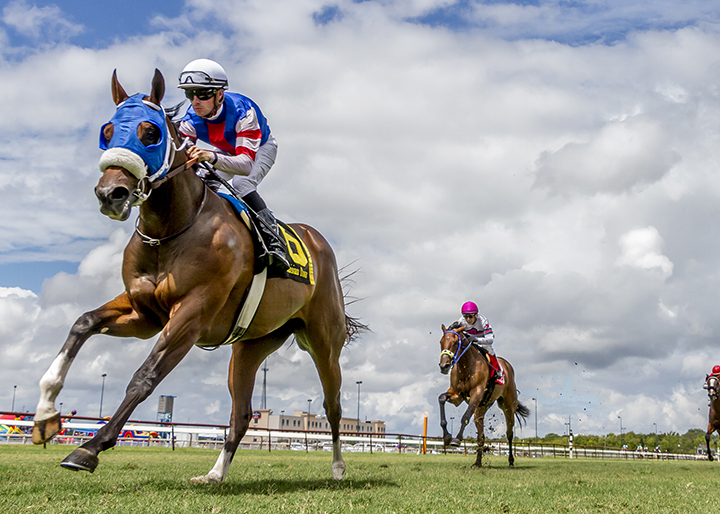 Taylor-s Spirit win the 2018 Happy Ticket Stakes