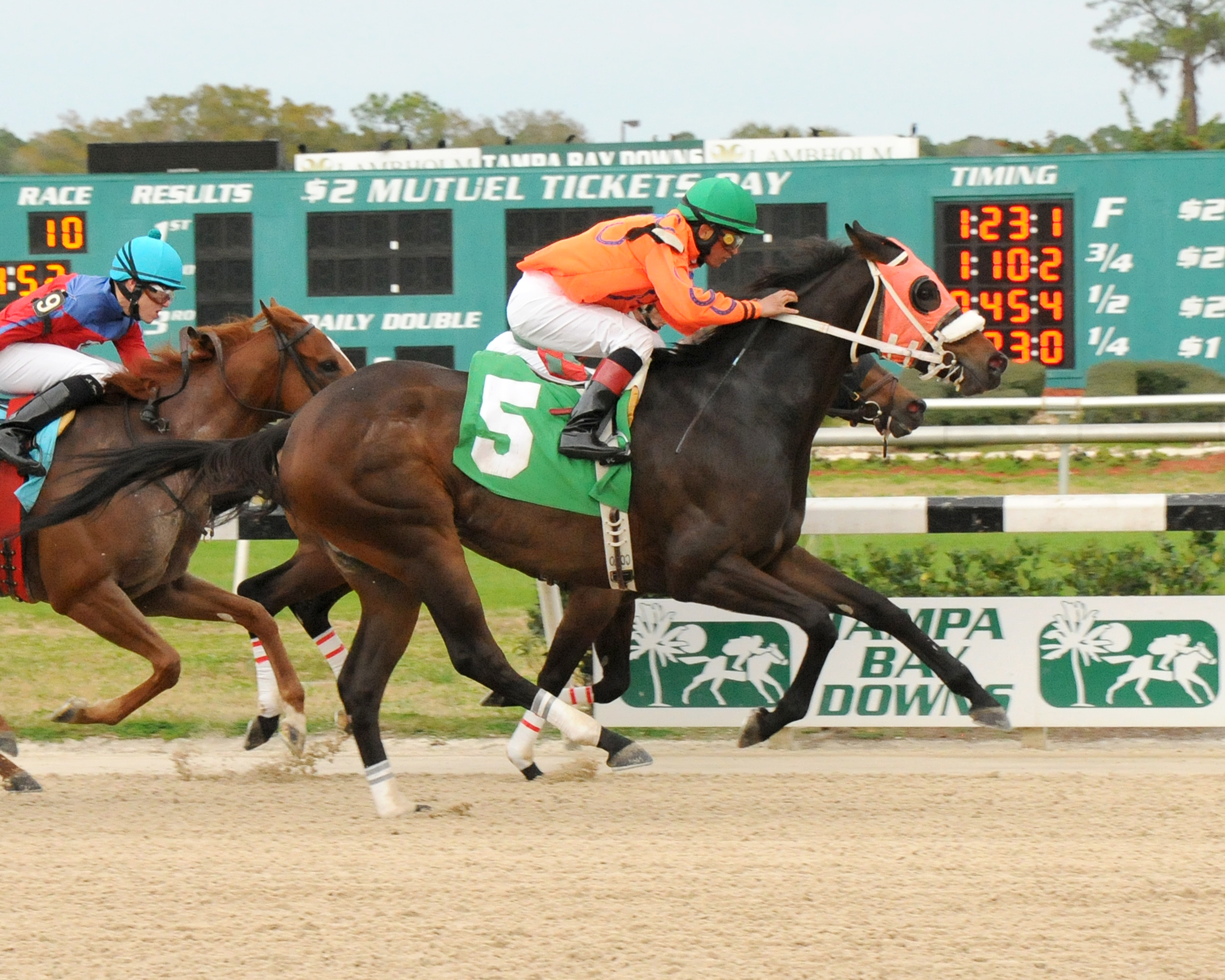 Taylors Irish, Manatee Stakes