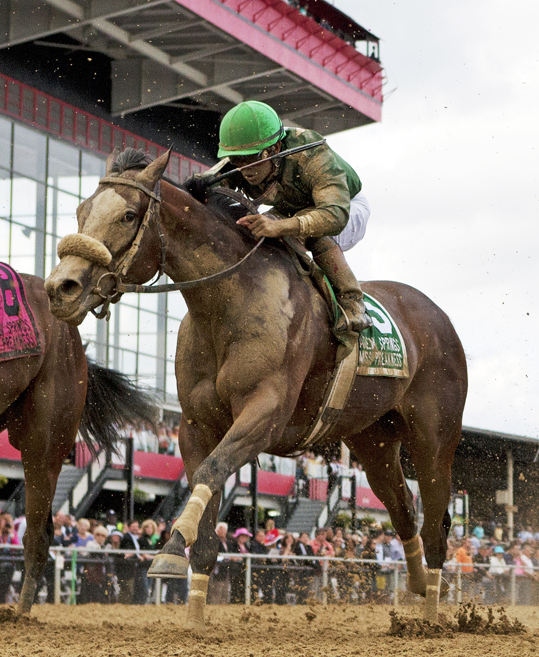 Tea Time finishes fourth in the Miss Preakness