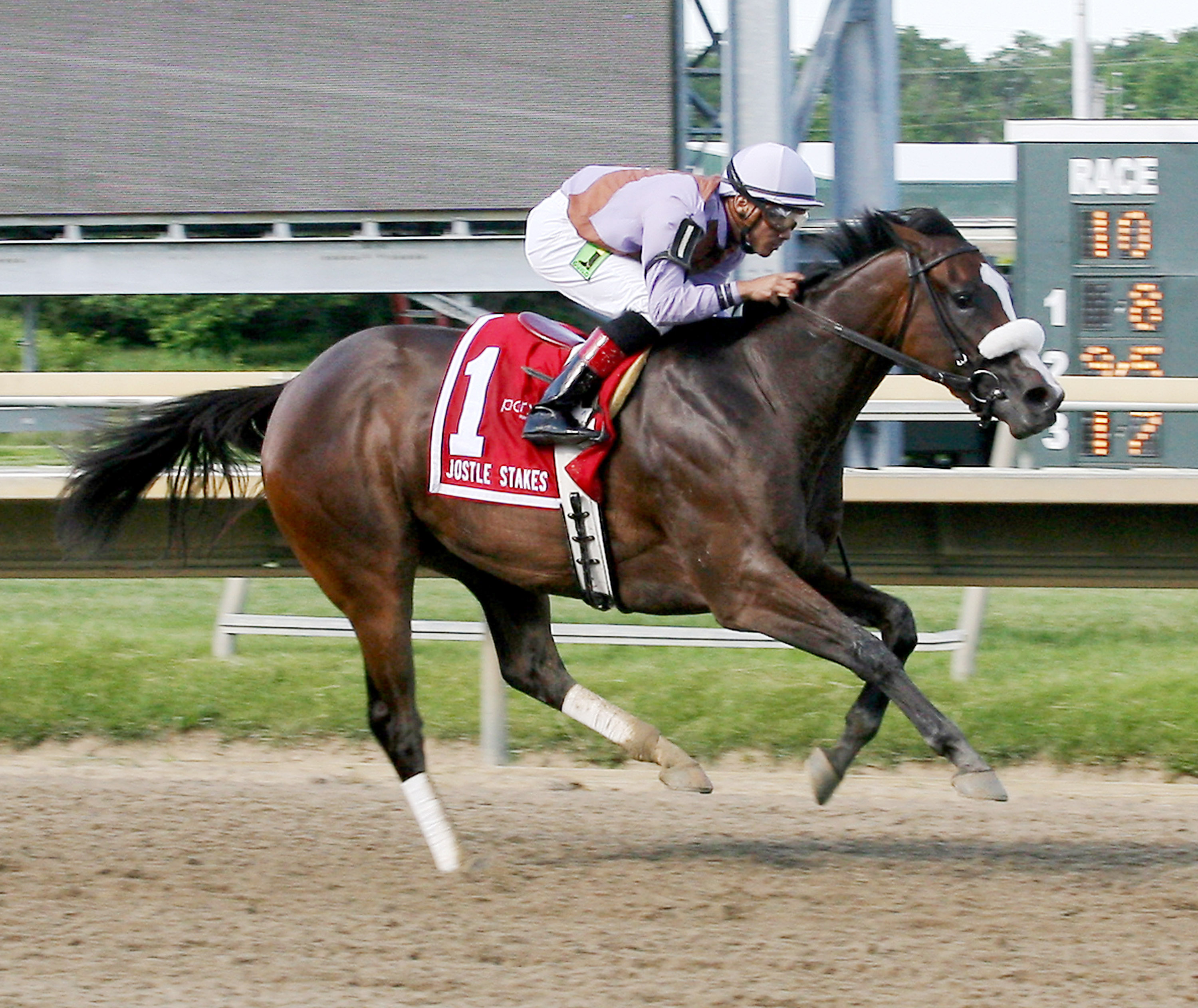 Tea Time wins the Jostle