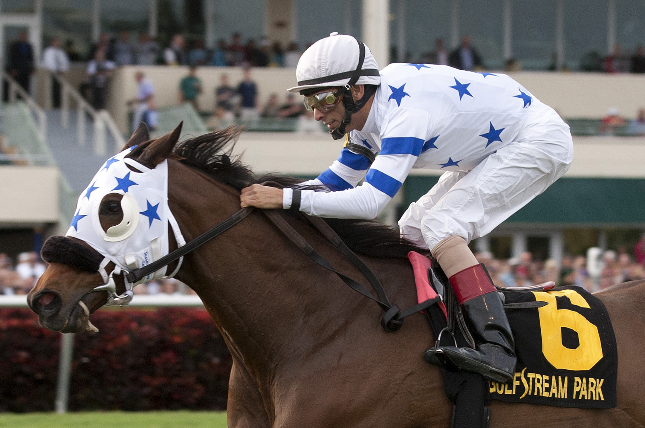 Teaks North, Sunshine Millions Turf