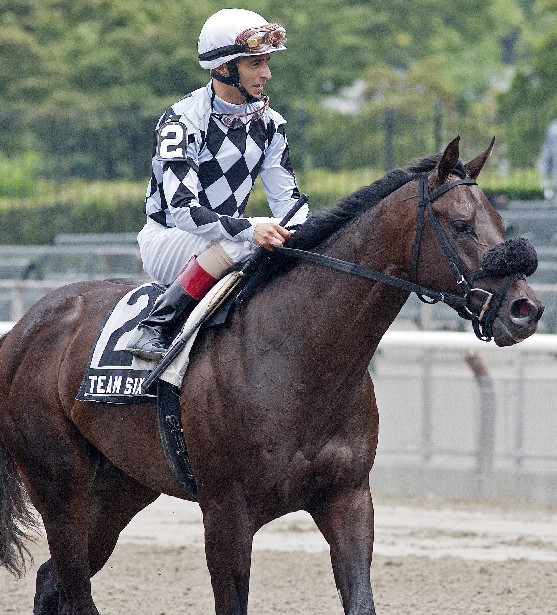 Team Six/Futurity