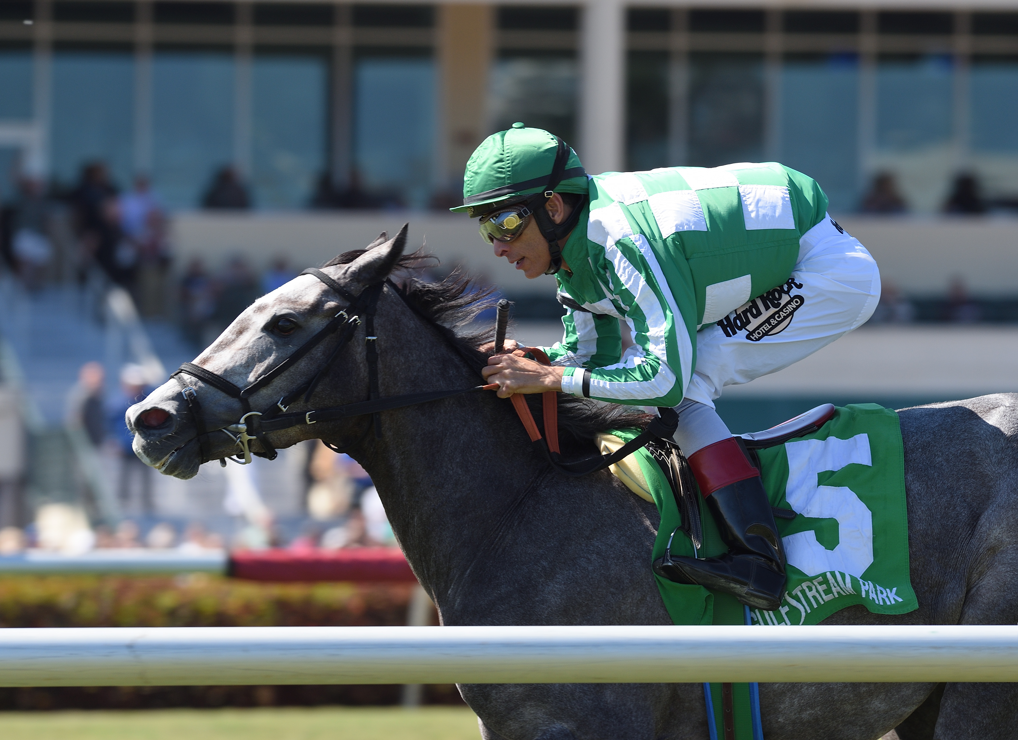 Team of Teams wins the 2018 Sand Springs Stakes