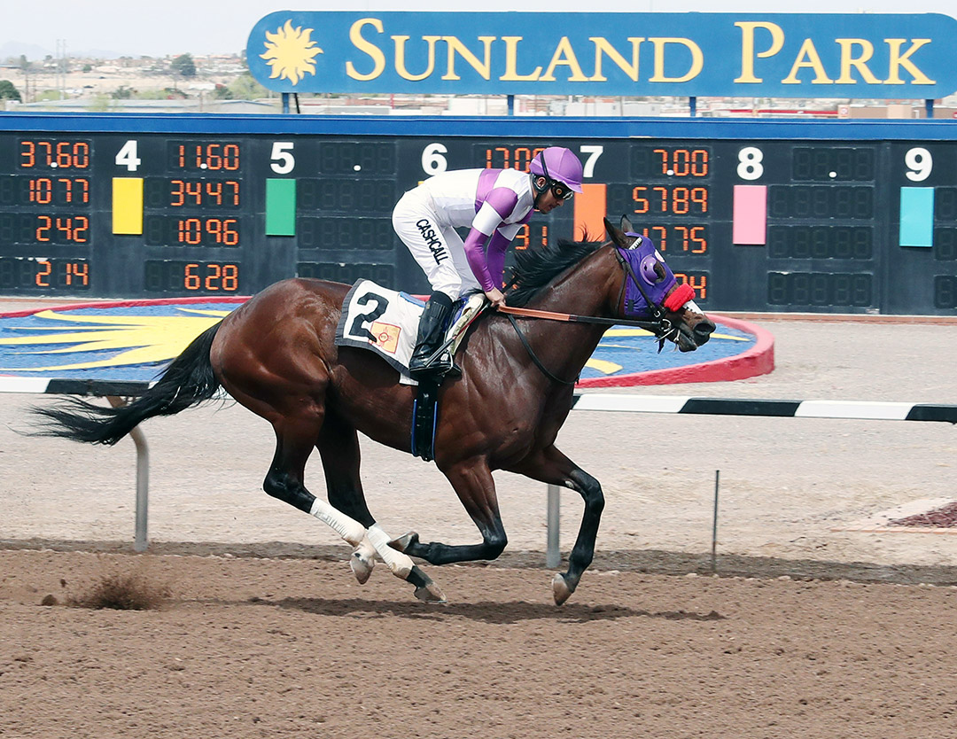 Team Merchants wins the 2022 Bill Thomas Memorial Stakes at Sunland Park