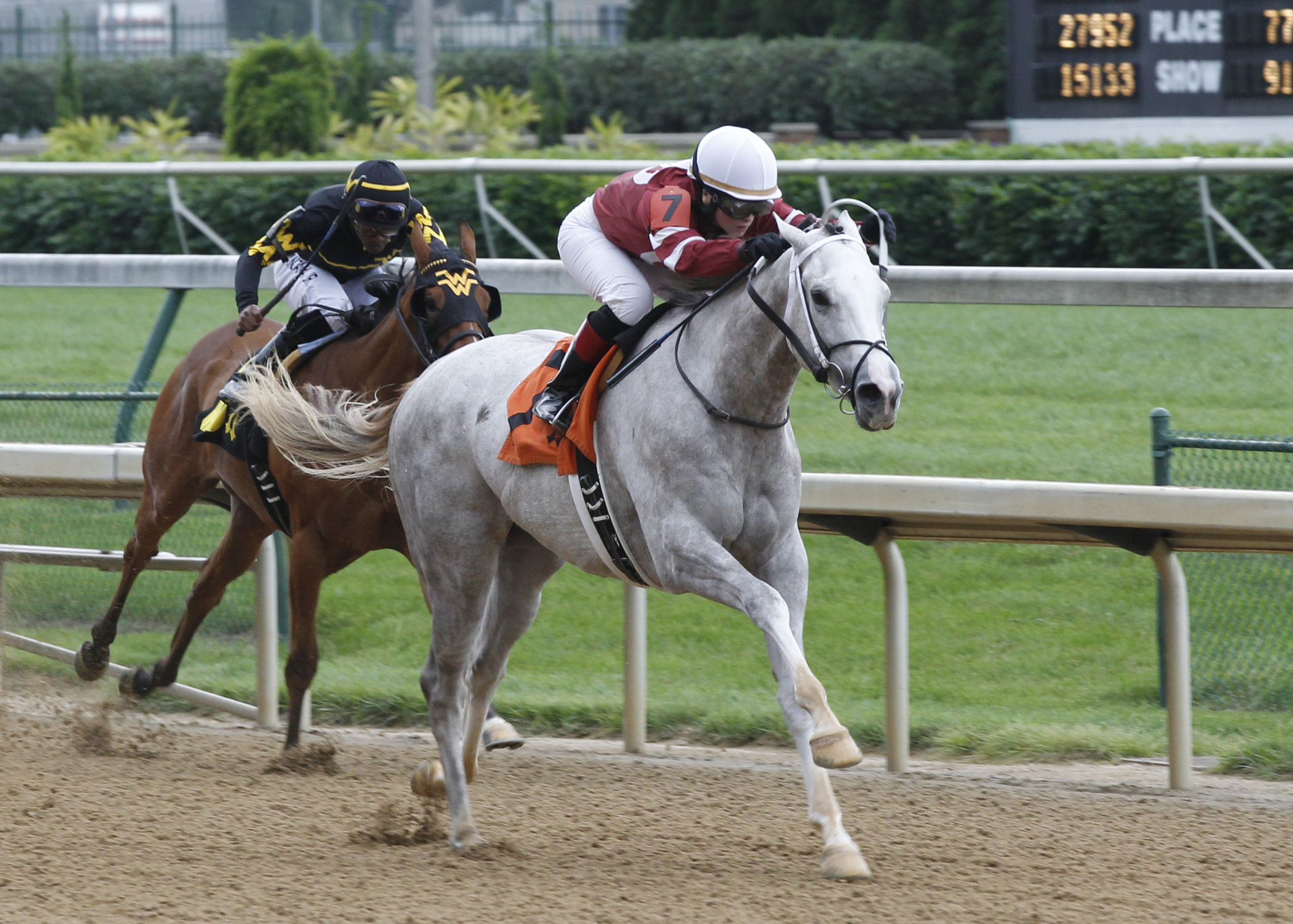Teardrop wins a maiden race
