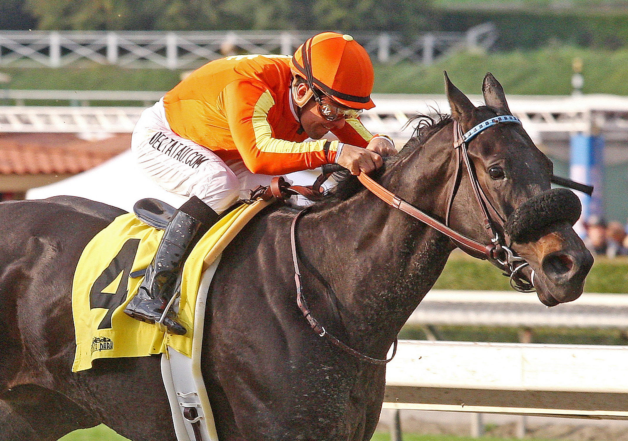 Teddy's Promise, Santa Monica at Santa Anita