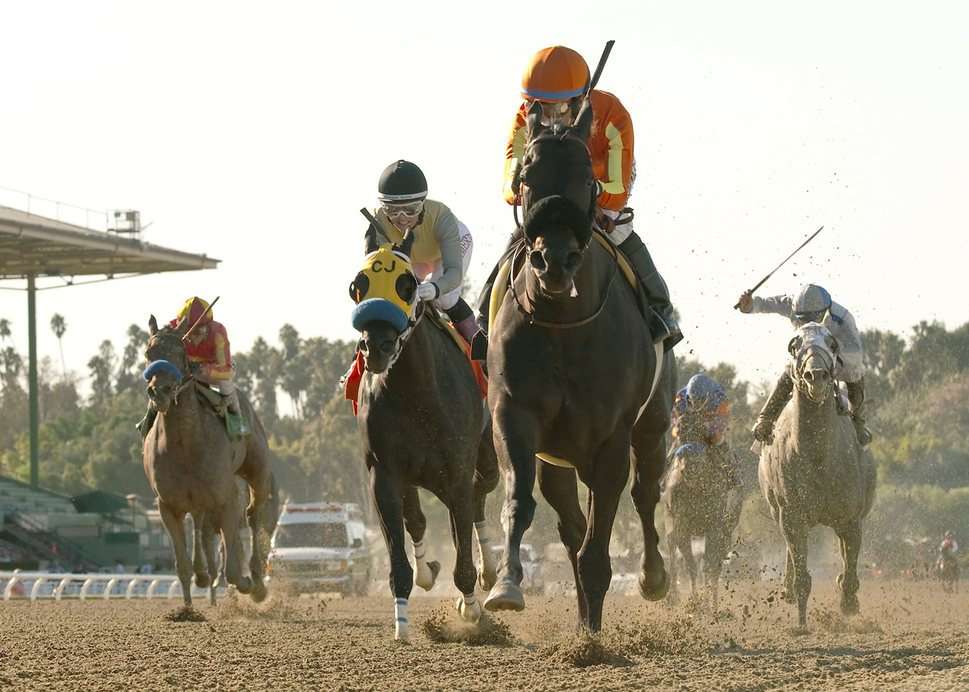 Teddy's Promise wins the L.A. Woman Stakes