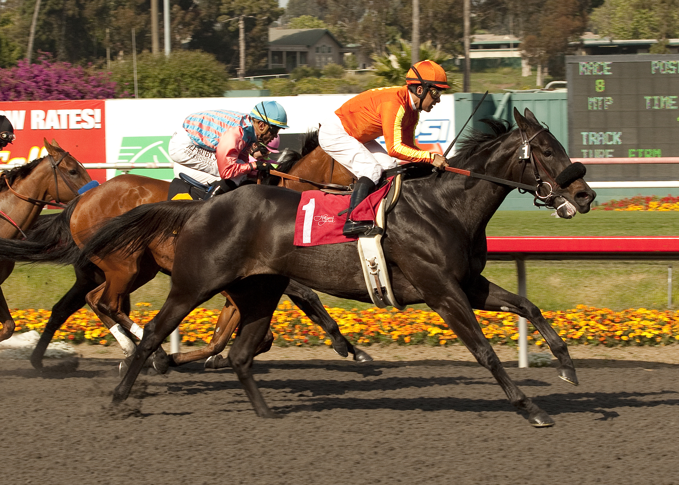 Teddy's Promise/Time to Leave Stakes