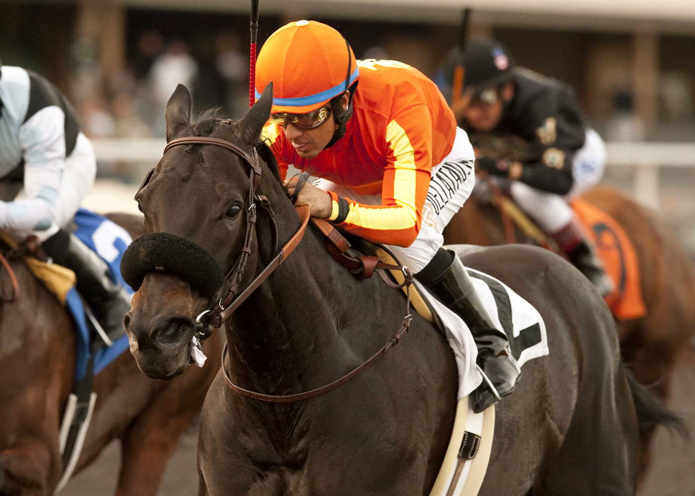 Teddy's Promise wins the Playa Del Rey