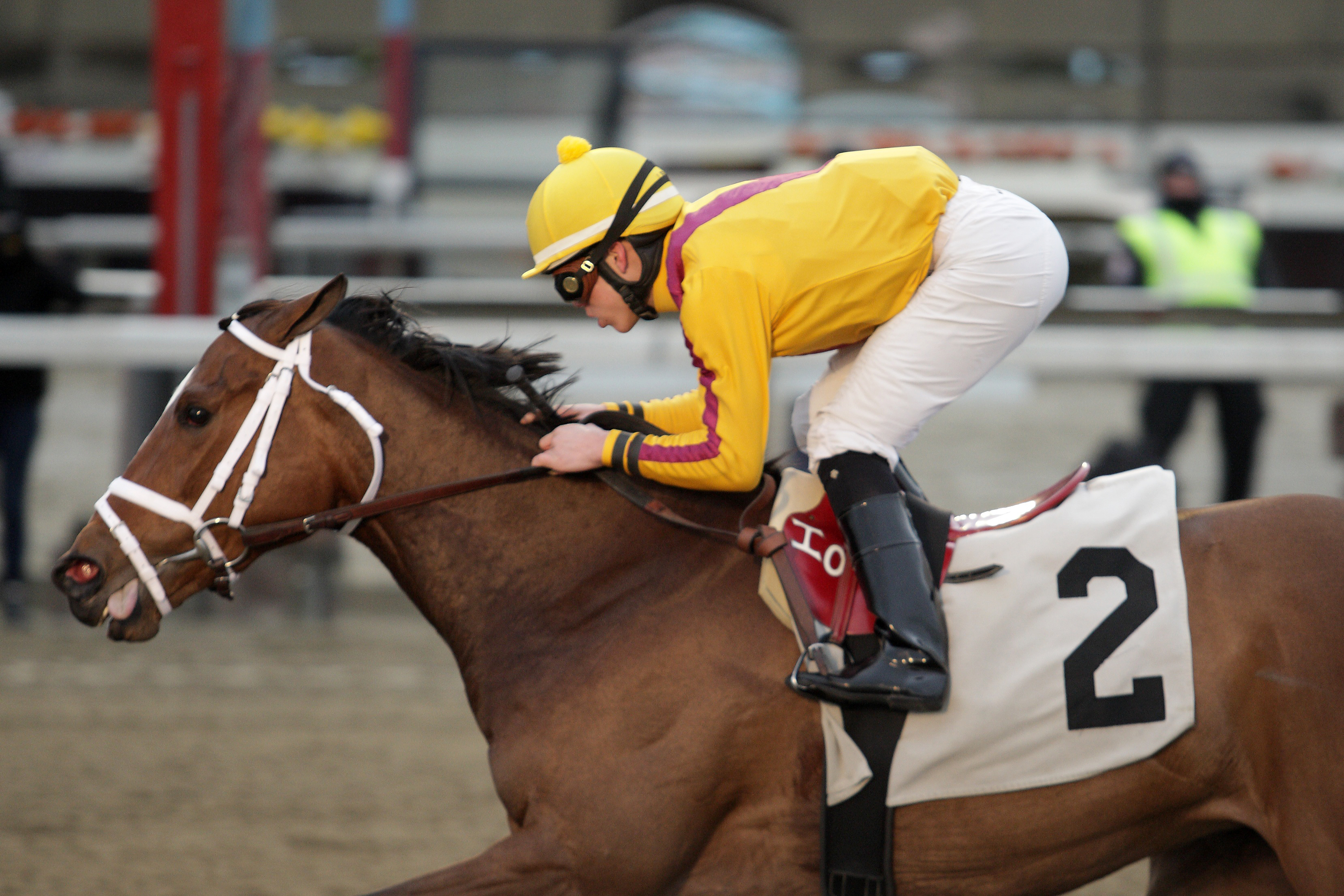 Teen Pauline wins the Top Flight Handicap