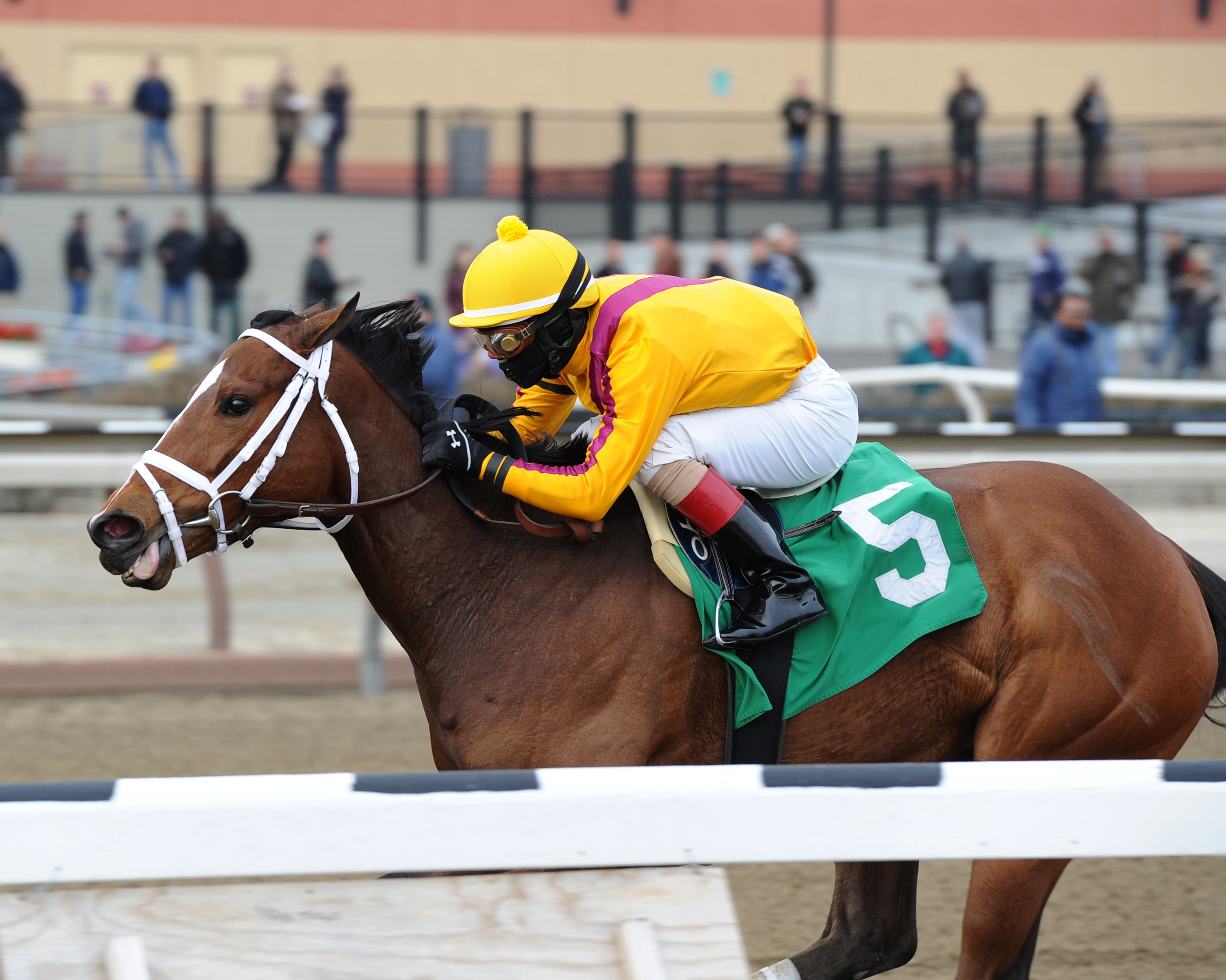 Teen Pauline wins the Affectionately Stakes