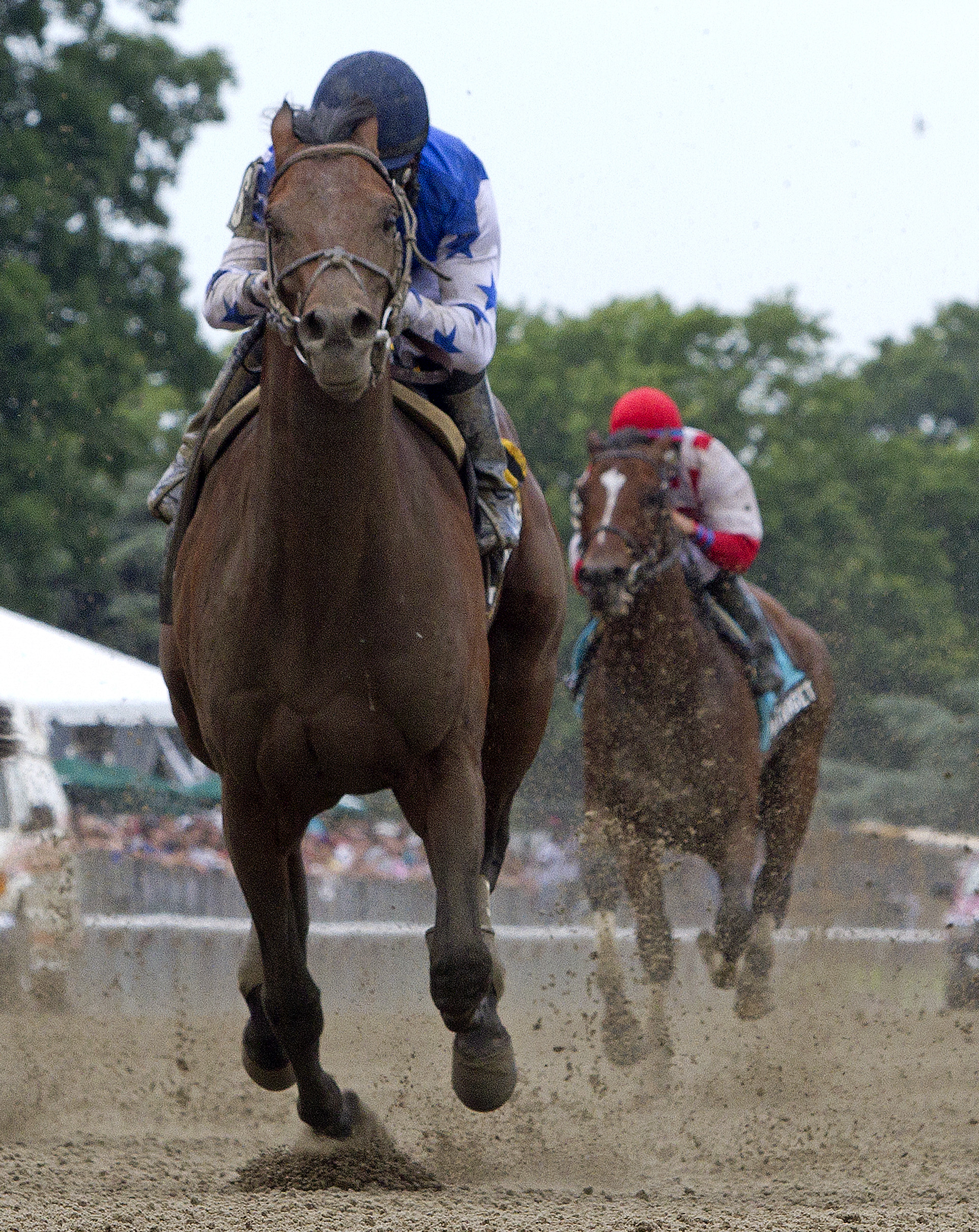 Teeth of the Dog/Easy Goer