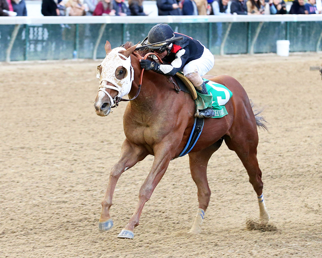 Tejano Twist wins the 2021 Lively Shively Stakes at Churchill Downs