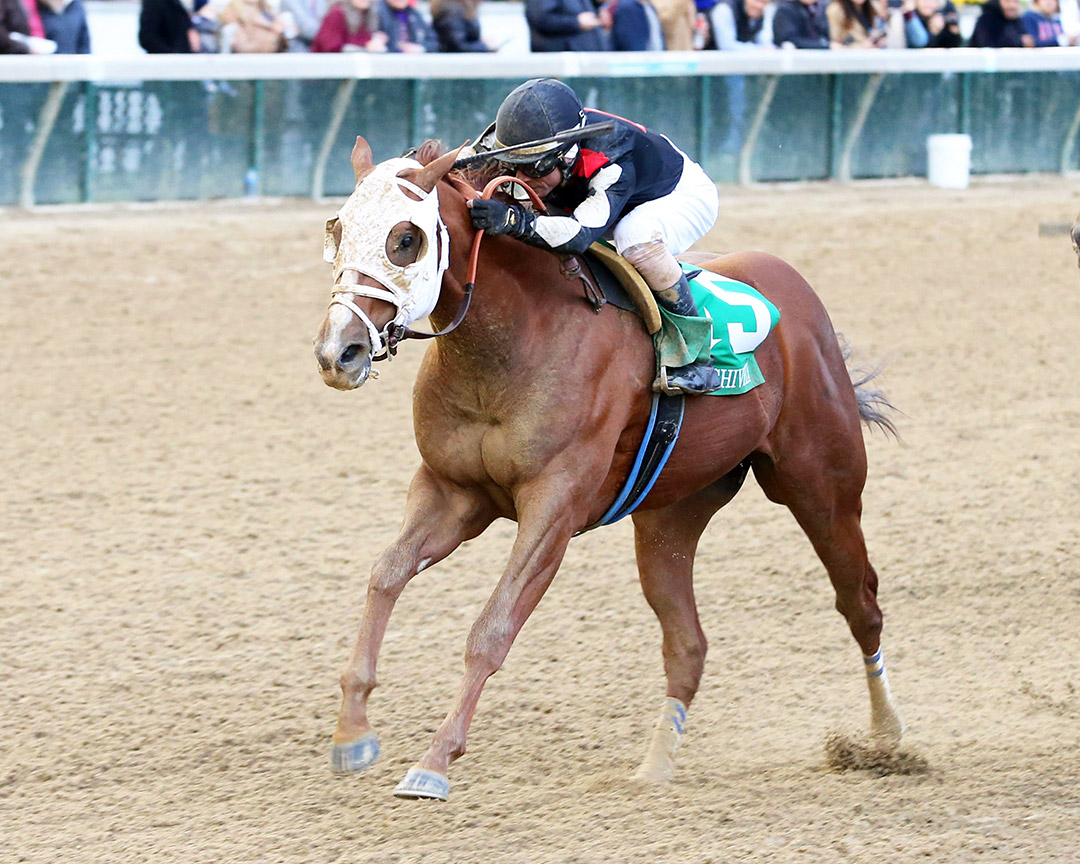Tejano Twist wins the 2021 Lively Shively Stakes at Churchill Downs