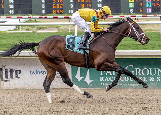Telekinesis wins a Feb. 9 maiden race