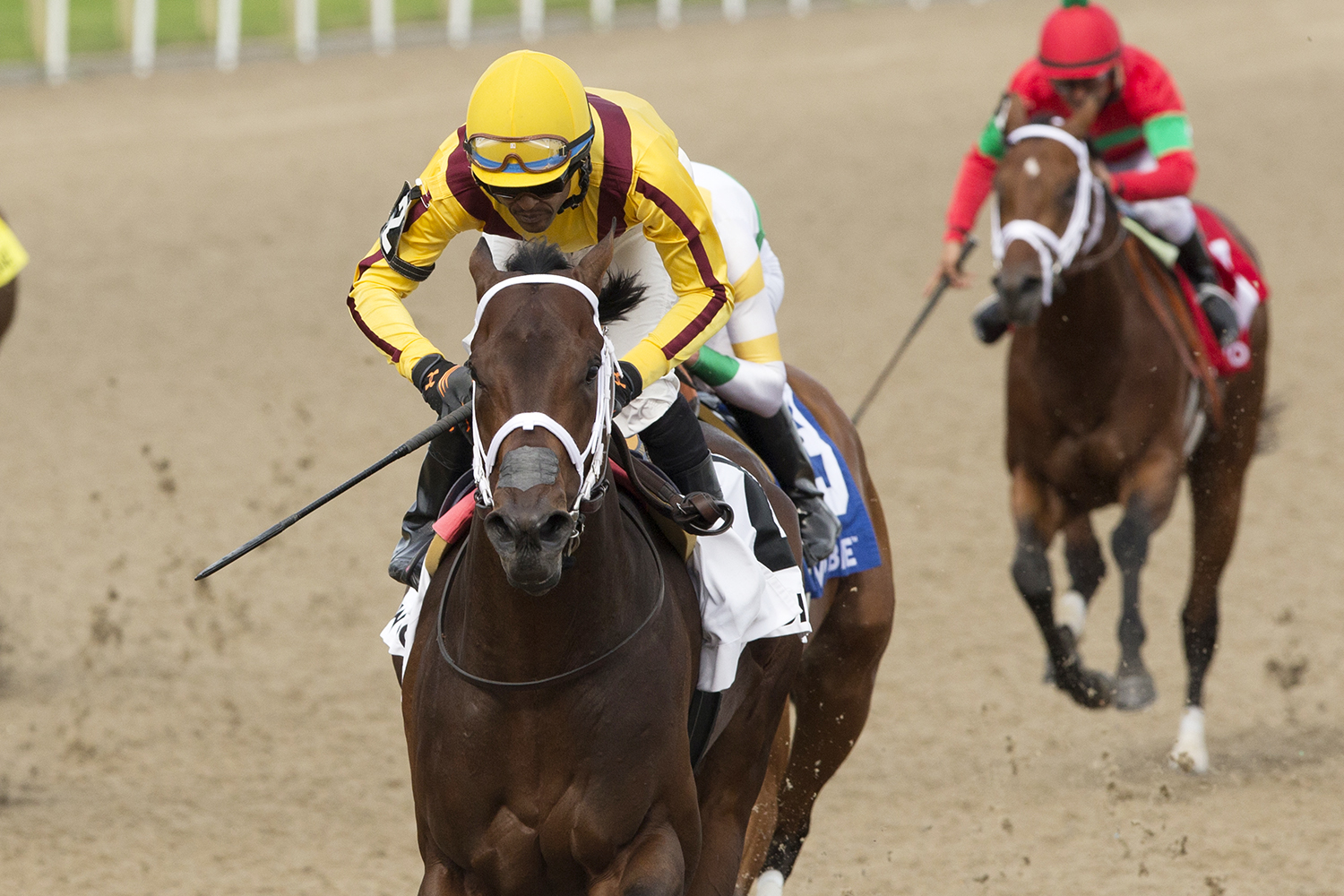 Telekinesis wins the 2018 Plate Trial Stakes