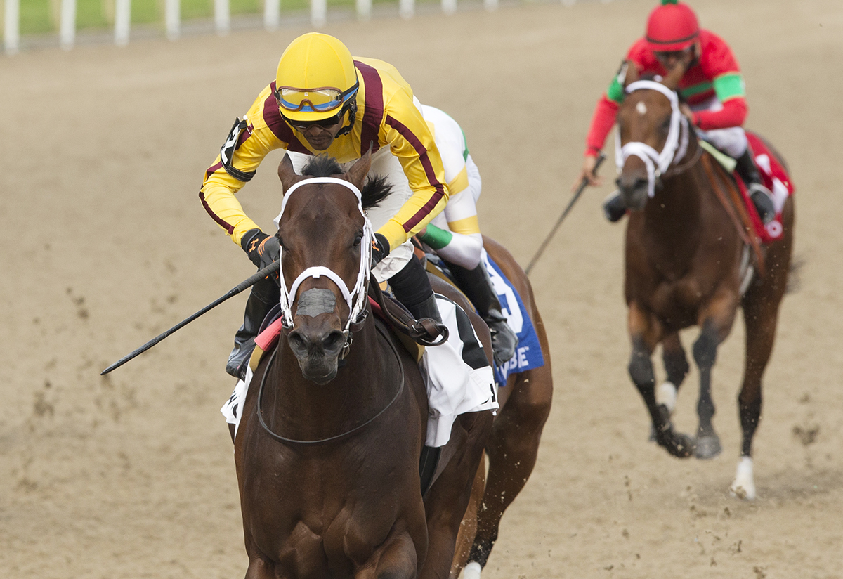 Telekinesis wins the 2018 Plate Trial Stakes