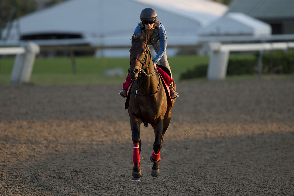 Telekinesis trains at Woodbine on June 26