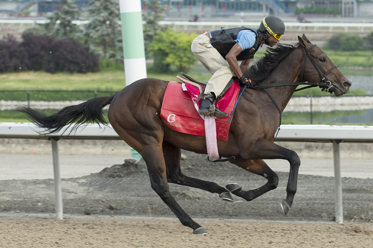 Telekinesis trains at Woodbine on June 6