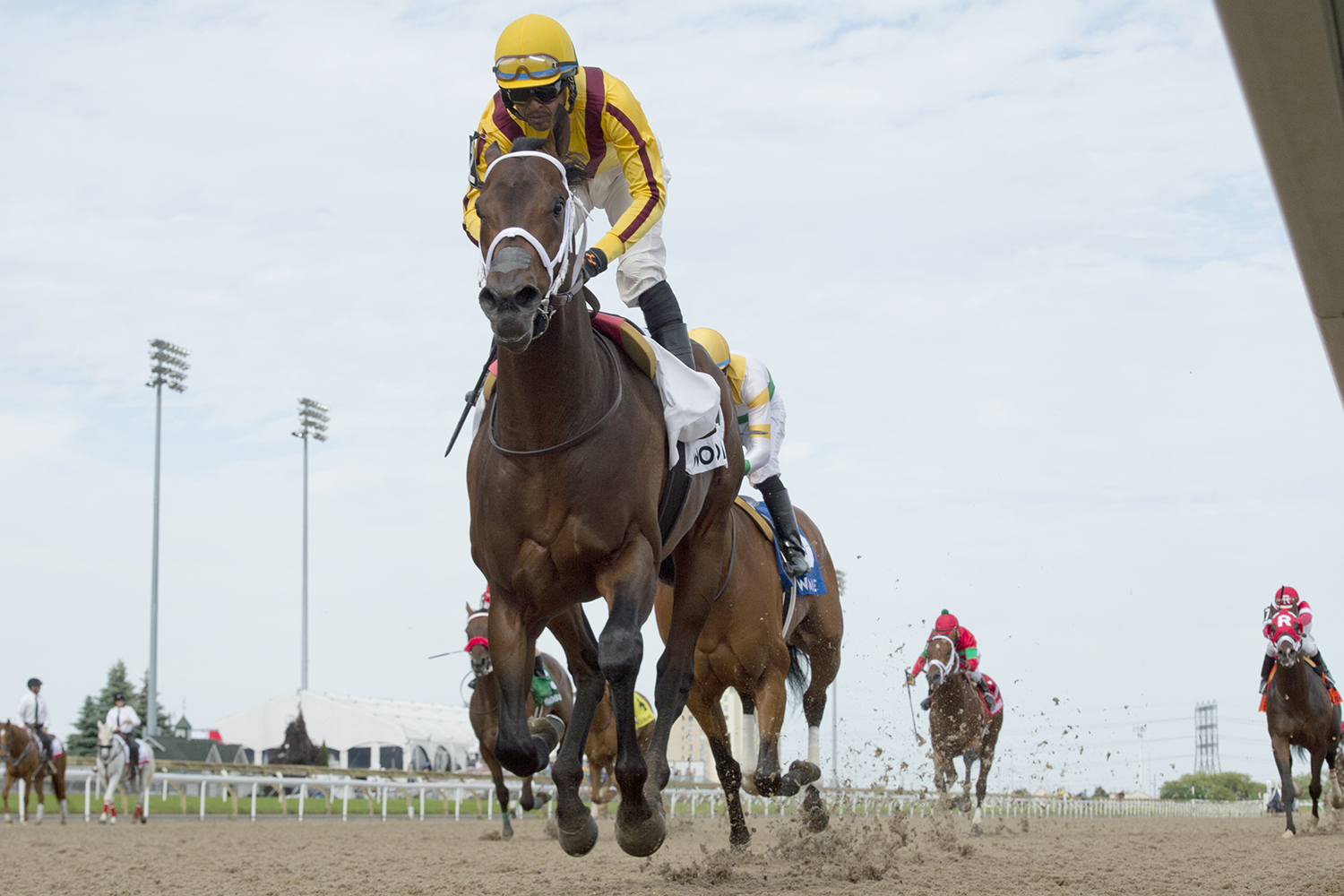Telekinesis wins the 2018 Plate Trial Stakes