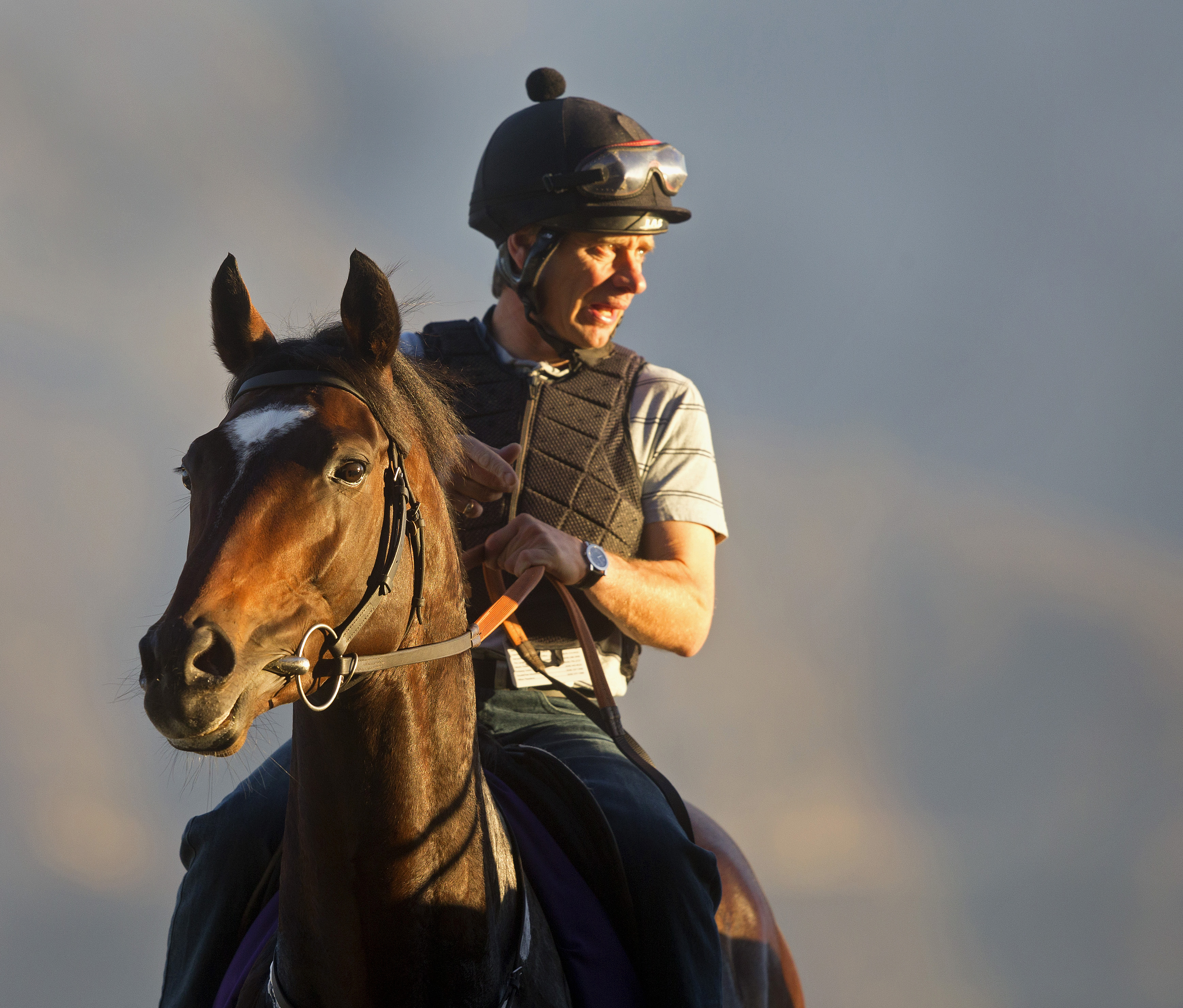 Telescope at Santa Anita on Oct. 28