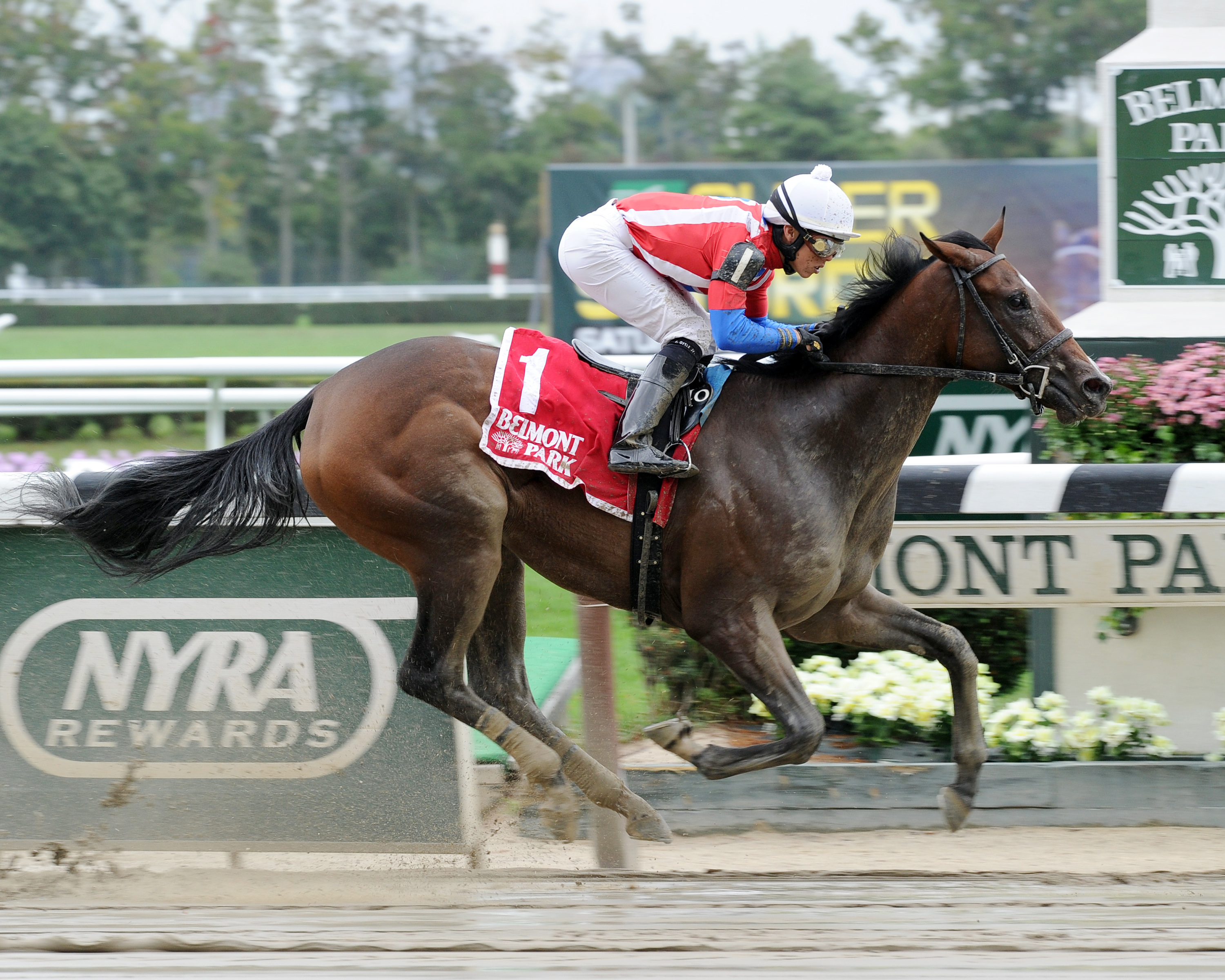 Temper Mint Patty wins the Joseph A. Gimma Stakes
