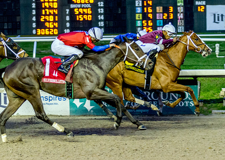 Tempers Rising (No. 1) finishes third in the Silverbulletday Stakes at Fair Grounds