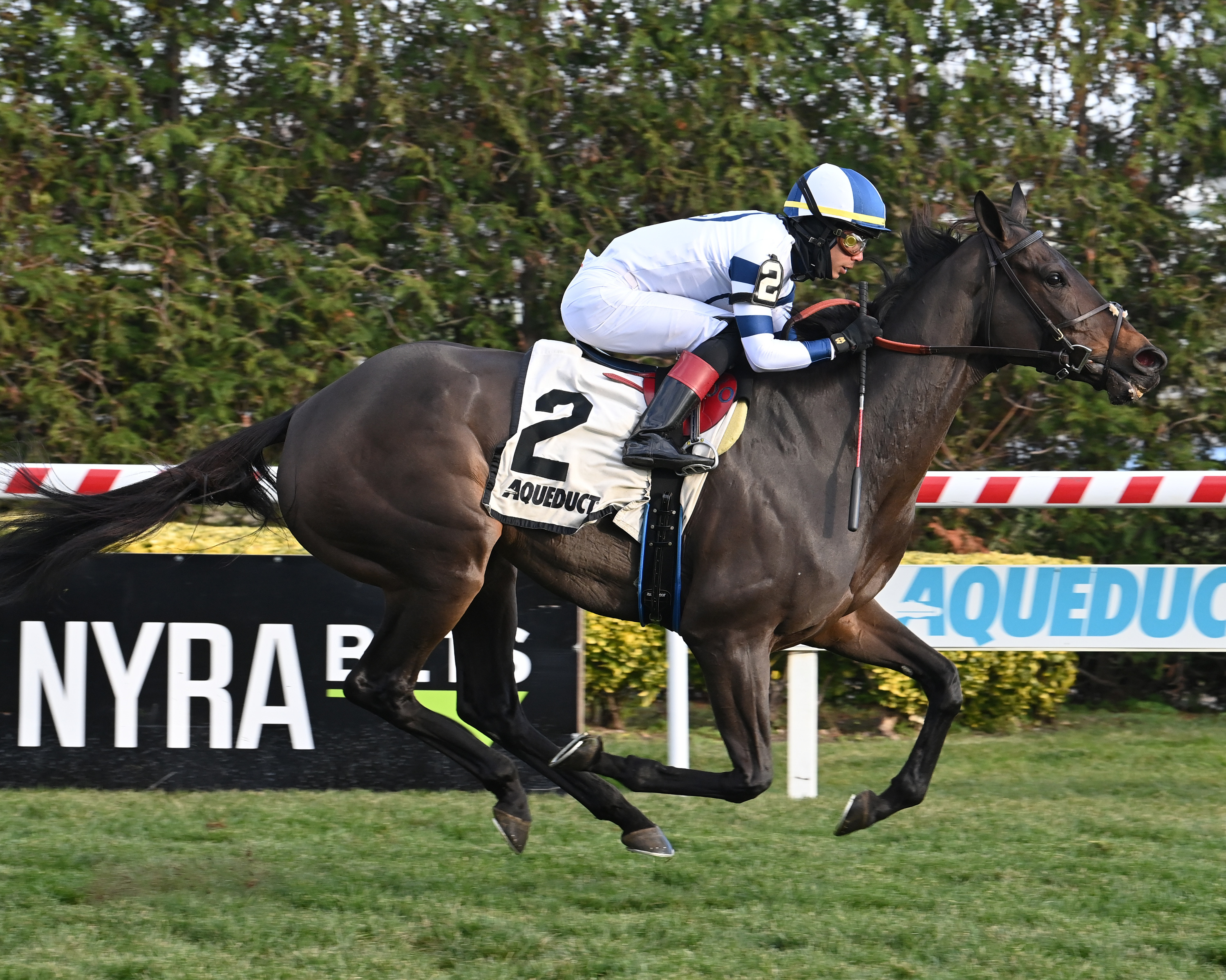 Temple City Terror/Long Island Stakes