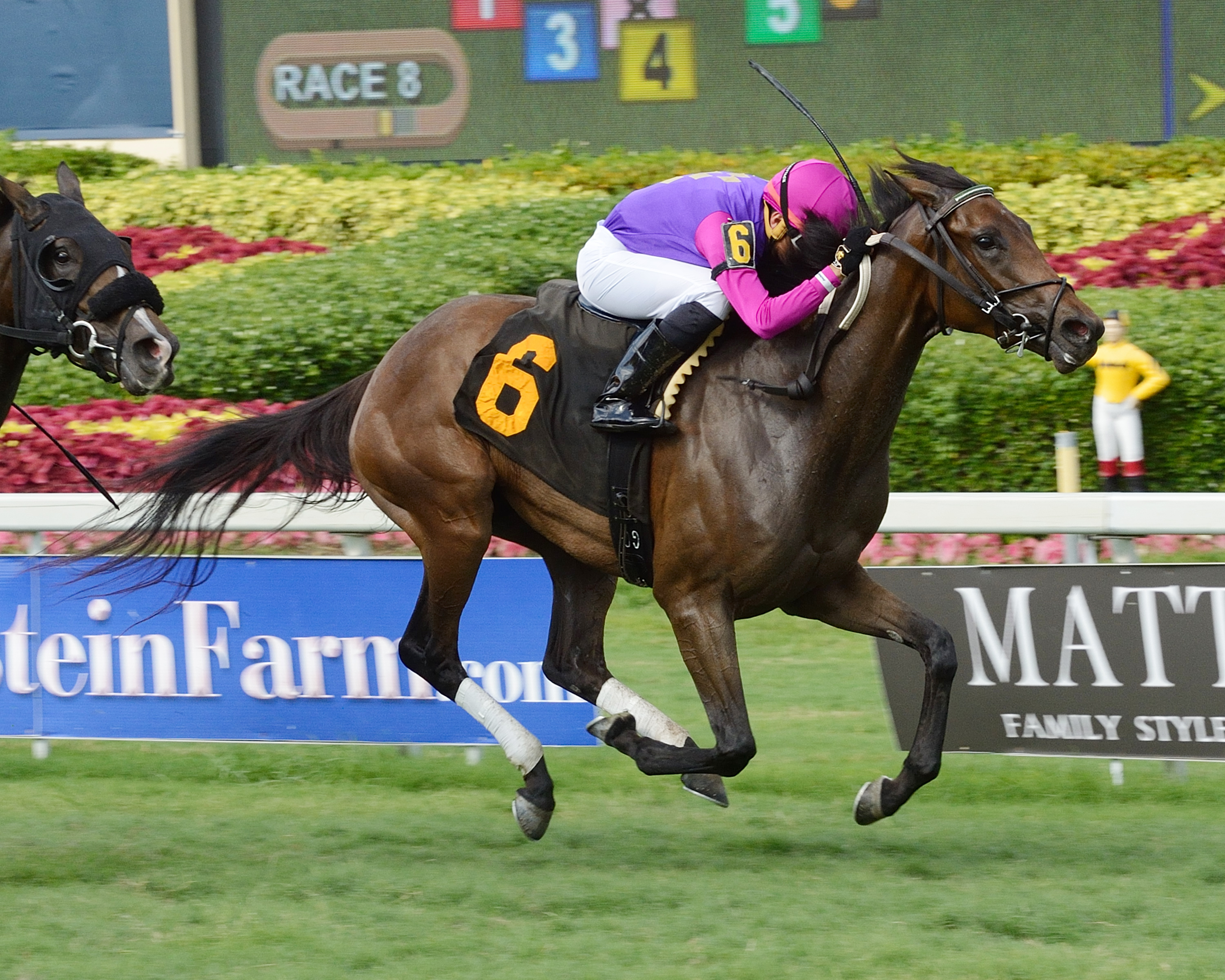 Temple Fur wins an optional claiming race