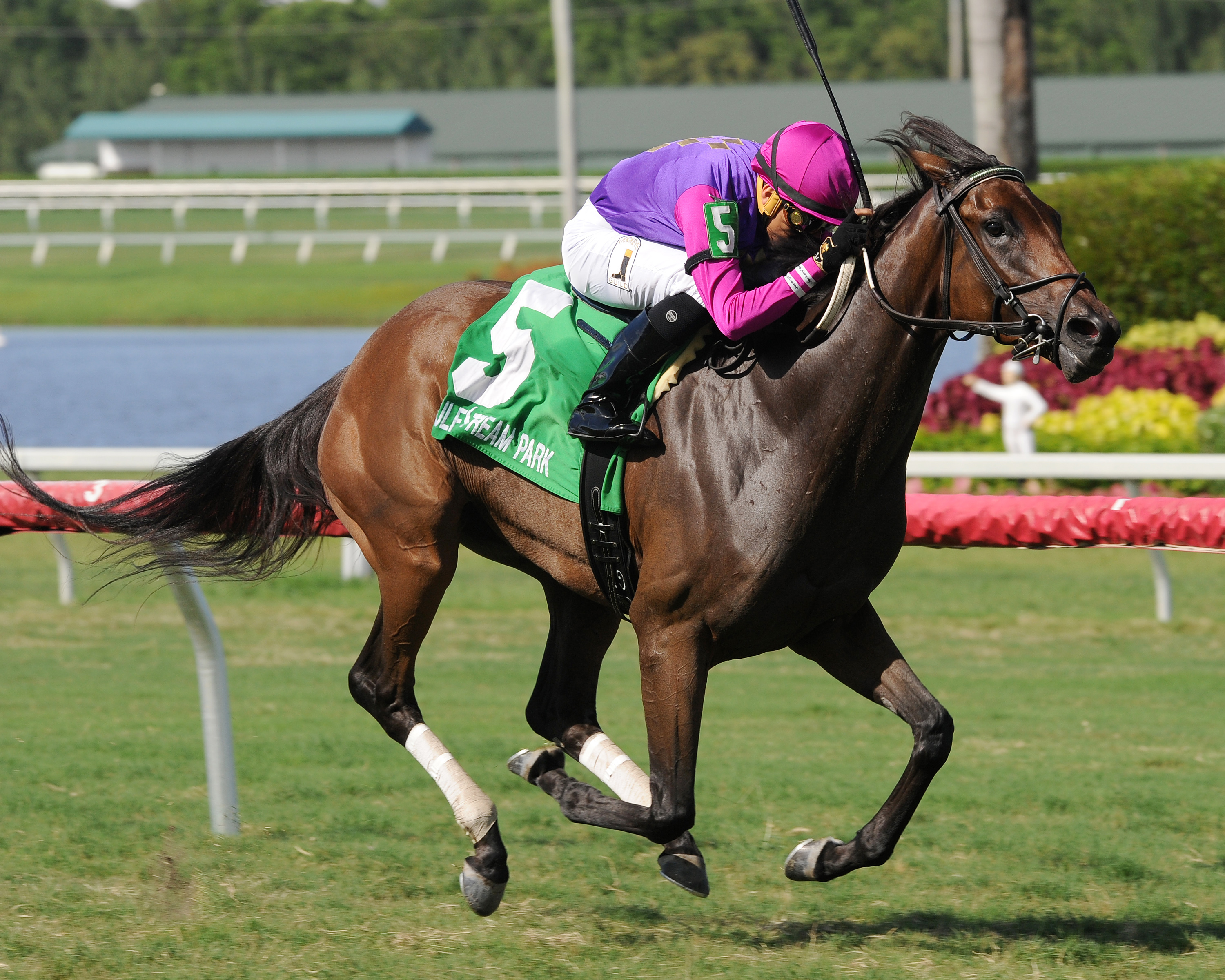 Temple Fur wins the Betsy Ross