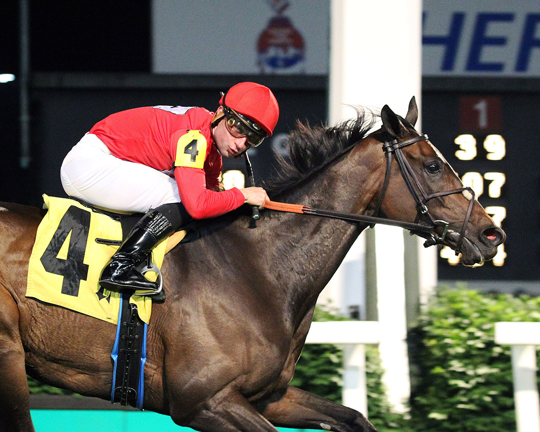 Temple City Terror wins the 2021 Keertana Stakes at Churchill Downs