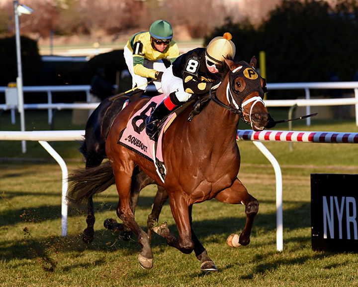 Temple wins the 2019 Gio Ponti Stakes at Aqueduct