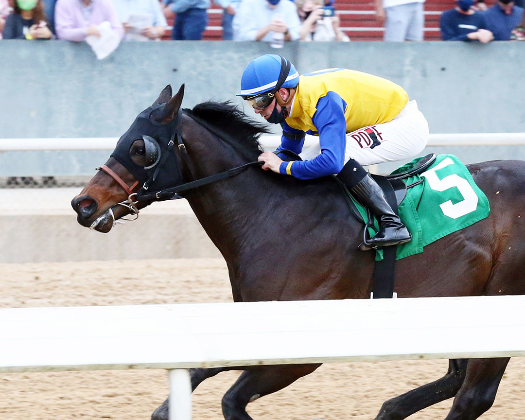 Tempt Fate wins a March 12 allowance at Oaklawn Park