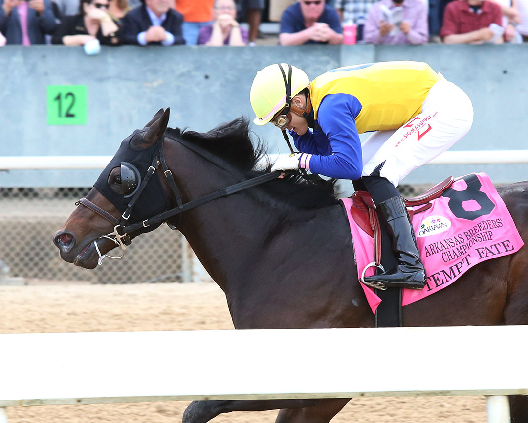 Tempt Fate wins the 2021 Arkansas Breeders' Championship at Oaklawn Park