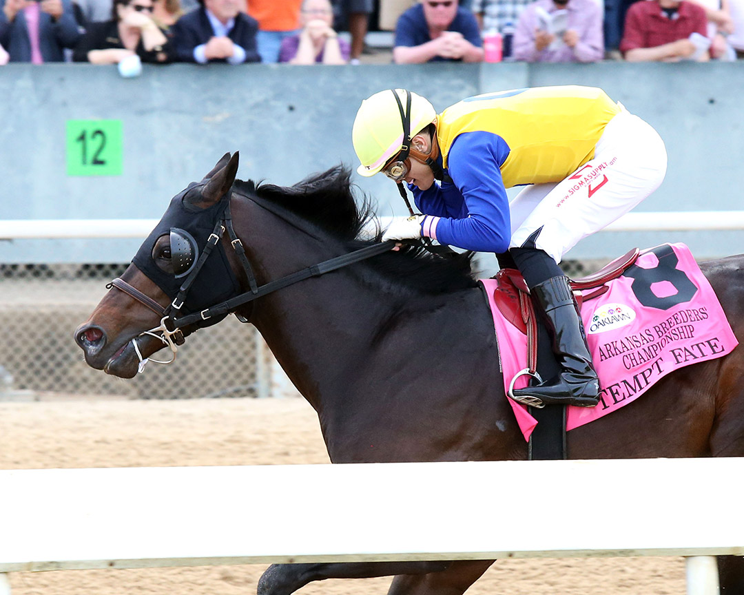 Tempt Fate wins the 2021 Arkansas Breeders' Championship at Oaklawn Park