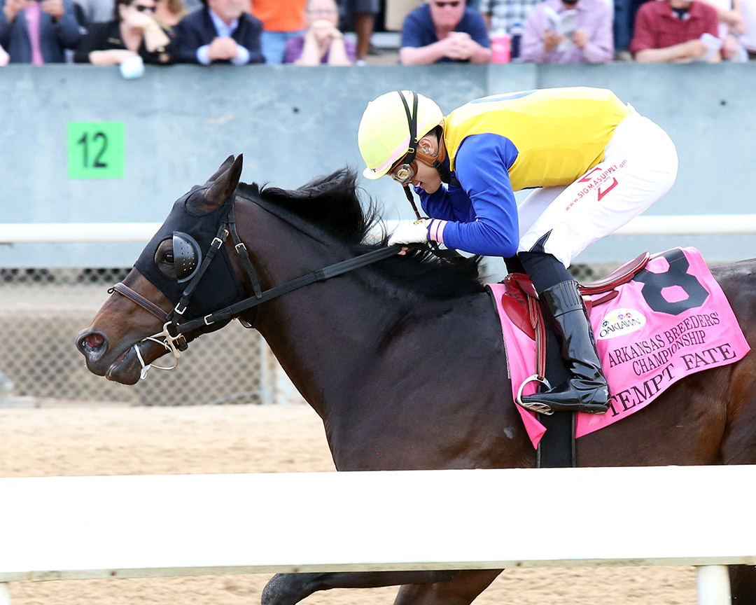 Tempt Fate wins the 2021 Arkansas Breeders' Championship at Oaklawn Park