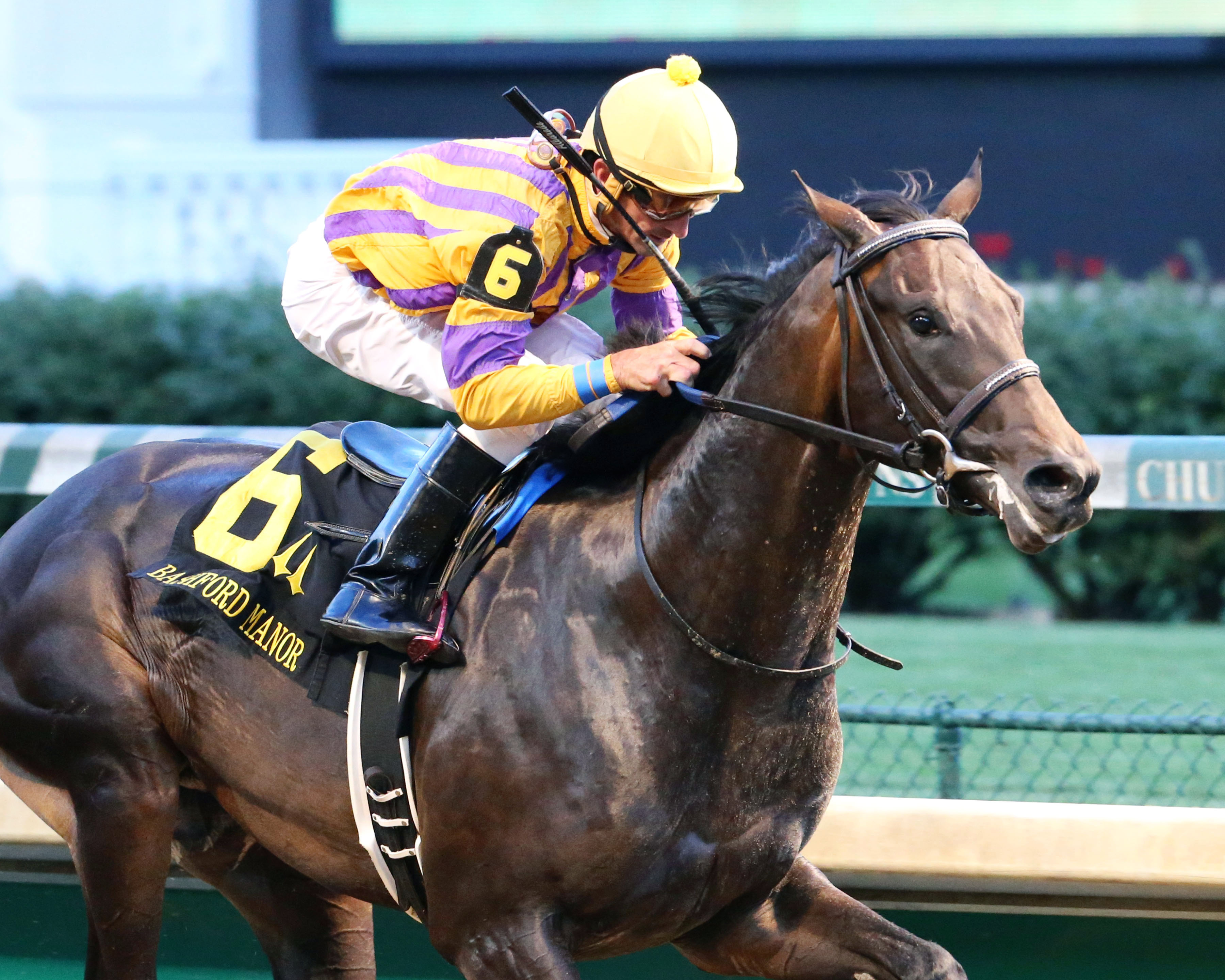Ten City wins the 2017 Bashford Manor