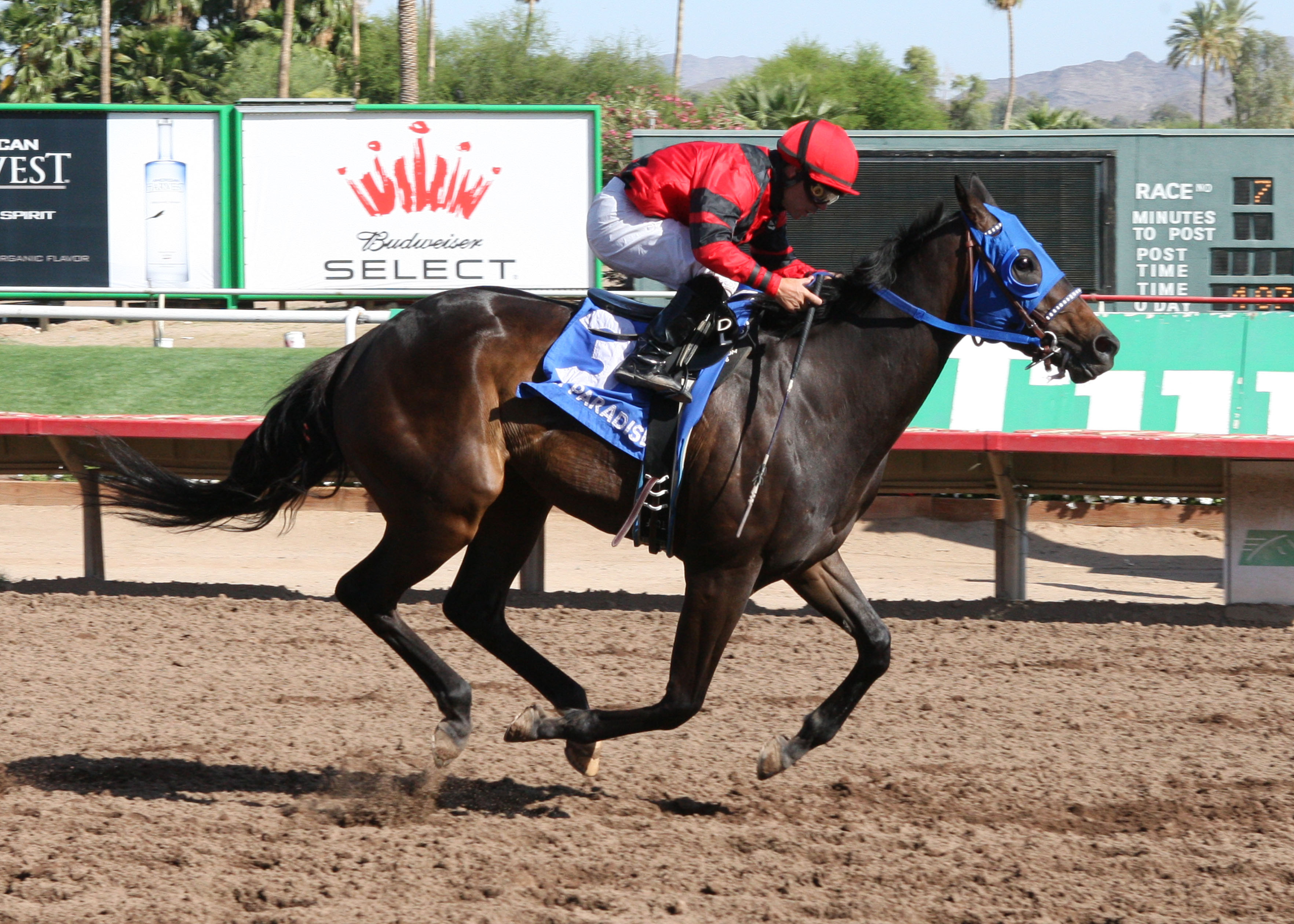 Ten Ninety Seven_Gene Fleming Breeders Derby_04-28-12_TUP_Finish.jpg