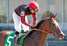 Tenango Aljamin Stakes 9-20-13