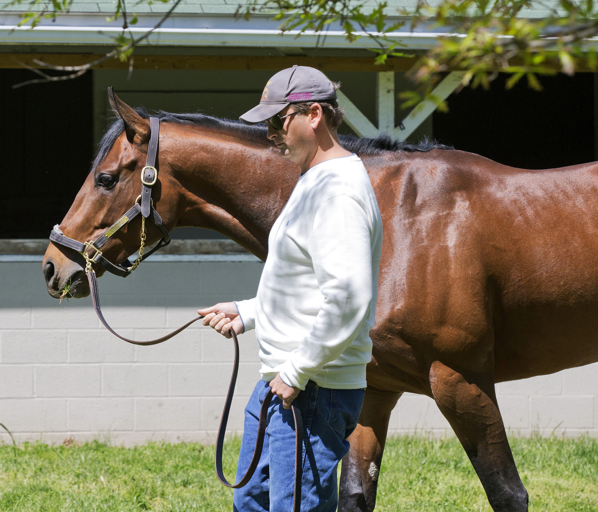 Tencendur with trainer George Weaver