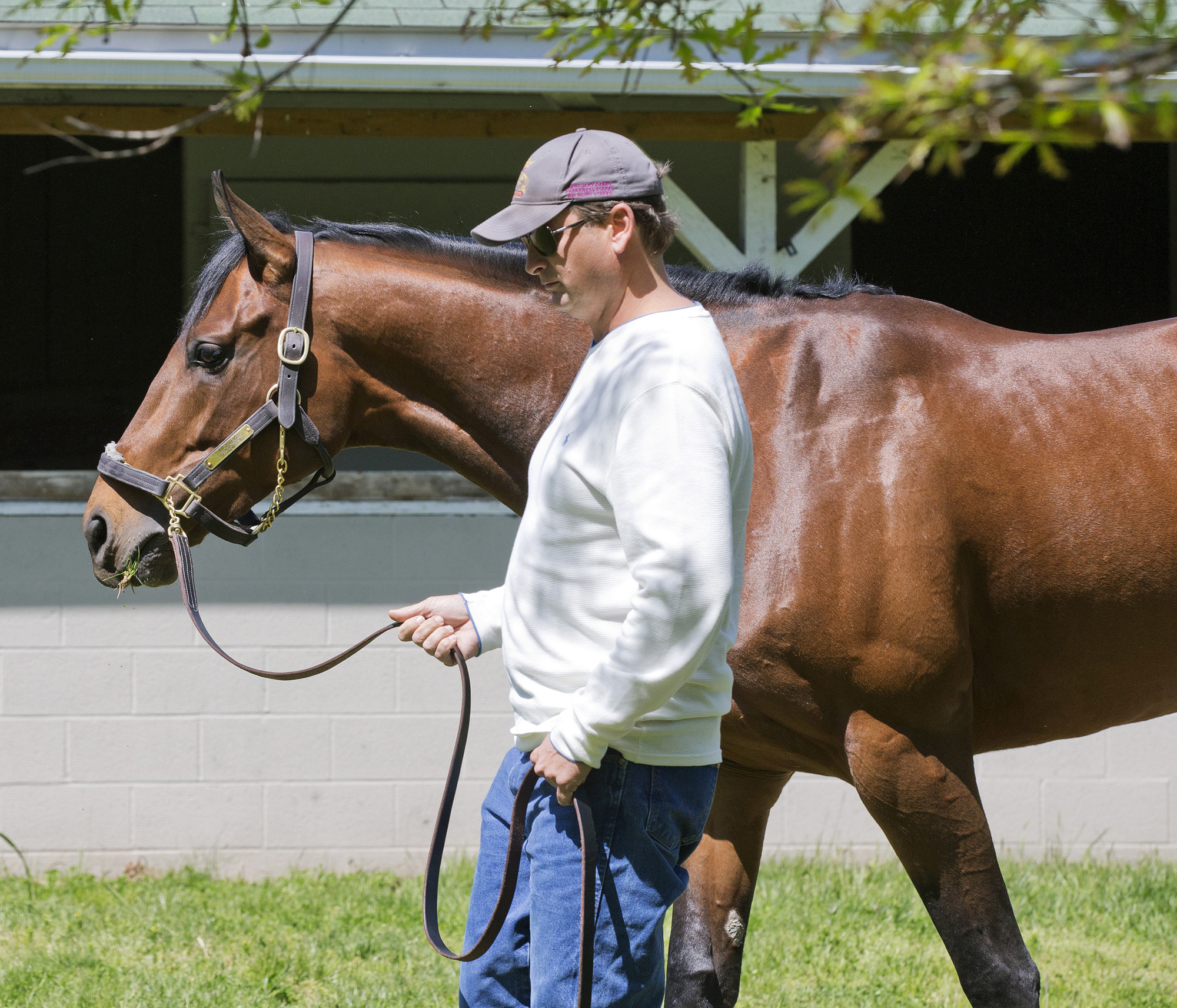 Tencendur with trainer George Weaver