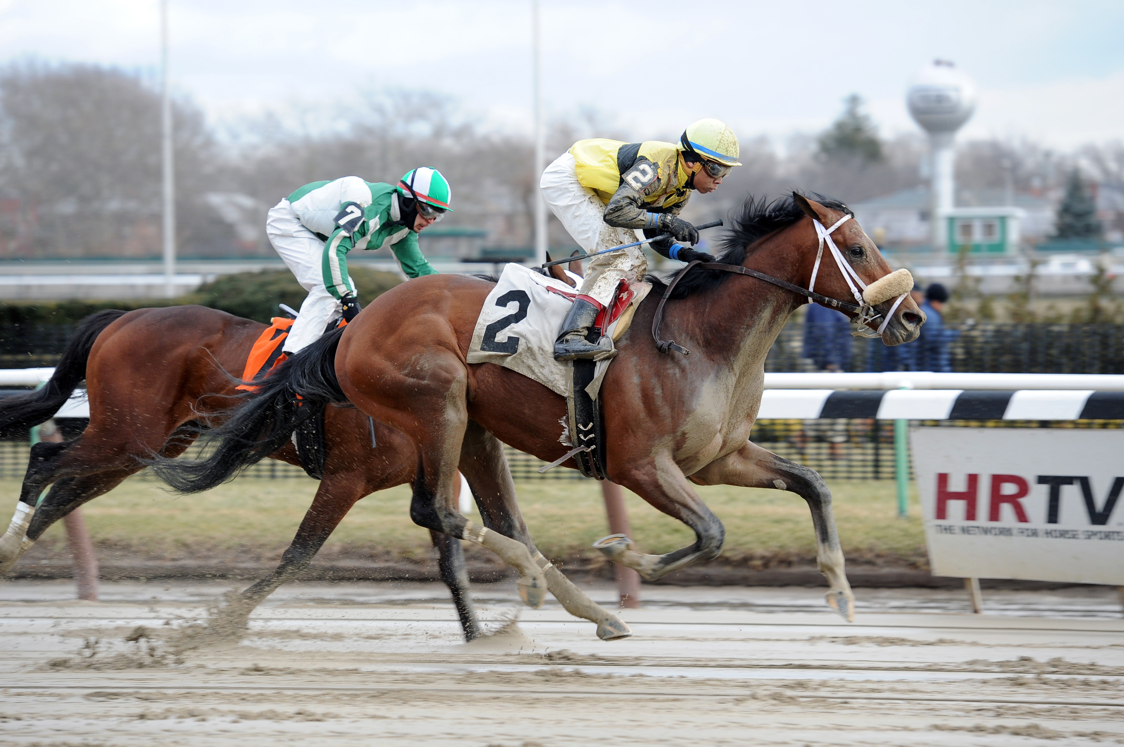 Tencendur wins a maiden race