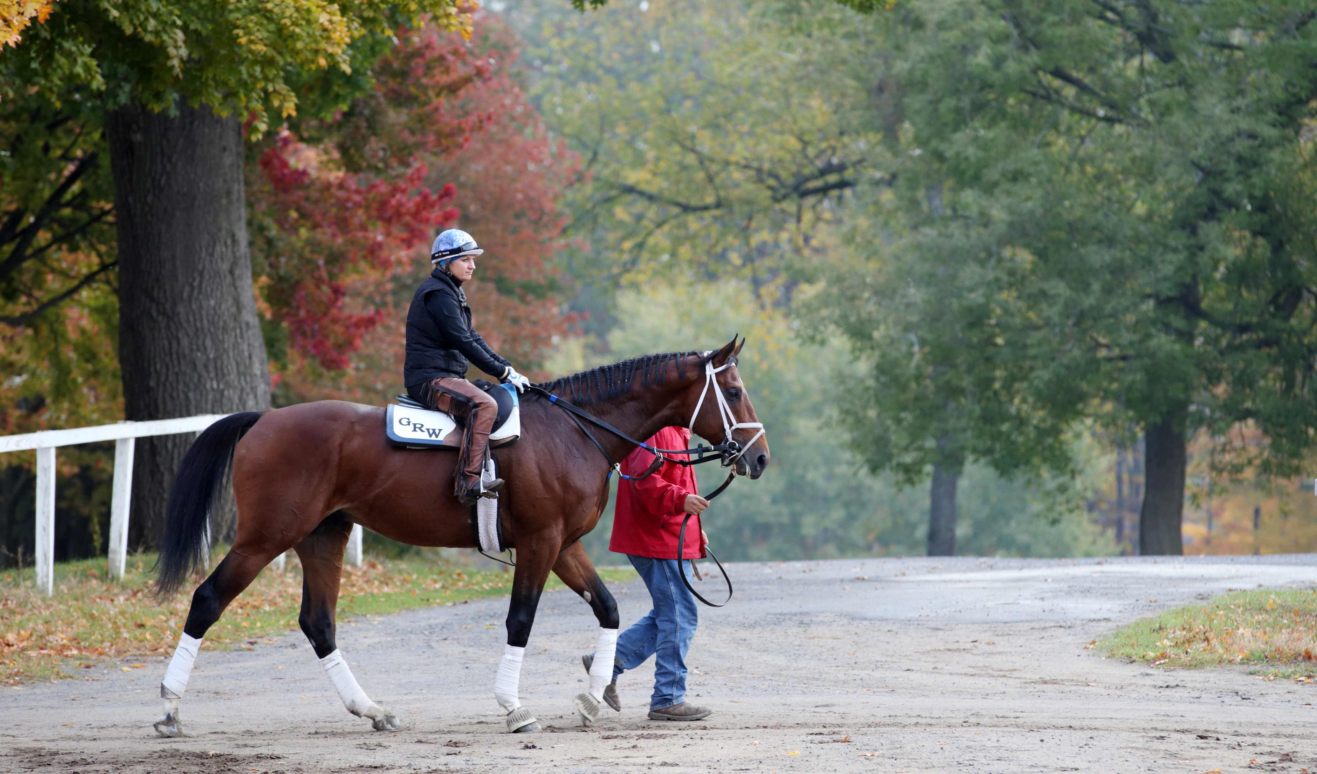 Tencendur at Saratoga on Oct. 22
