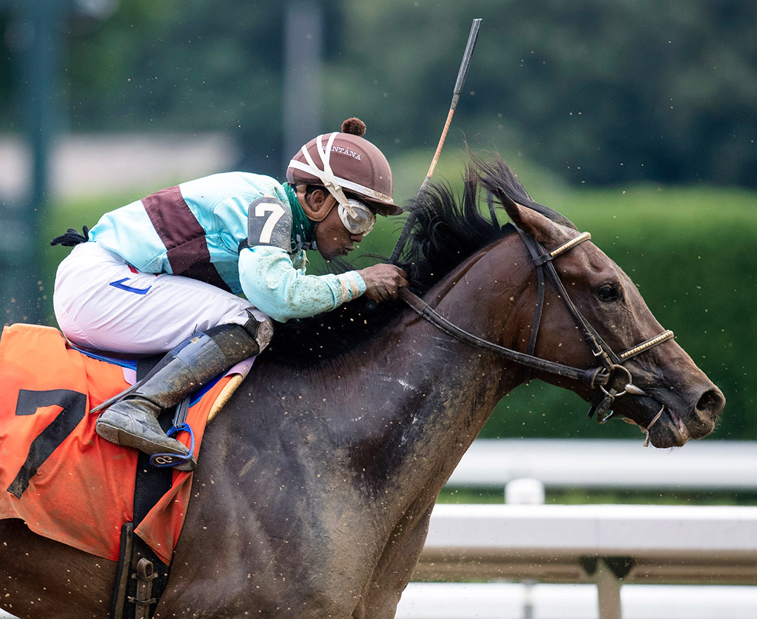 Tenderfoot finishes fourth in a July 2020 maiden race at Saratoga Race Course