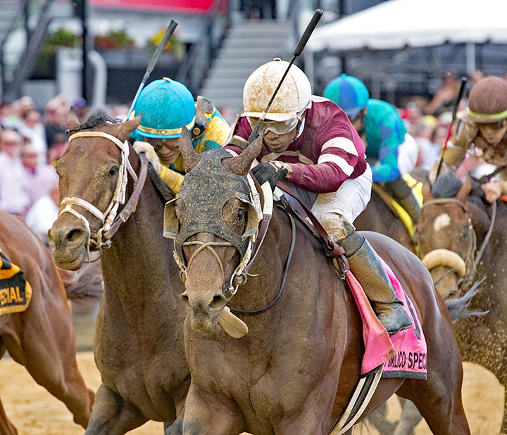 Tenfold wins the 2019 Pimlico Special