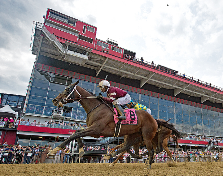 Tenfold wins the 2019 Pimlico Special Stakes