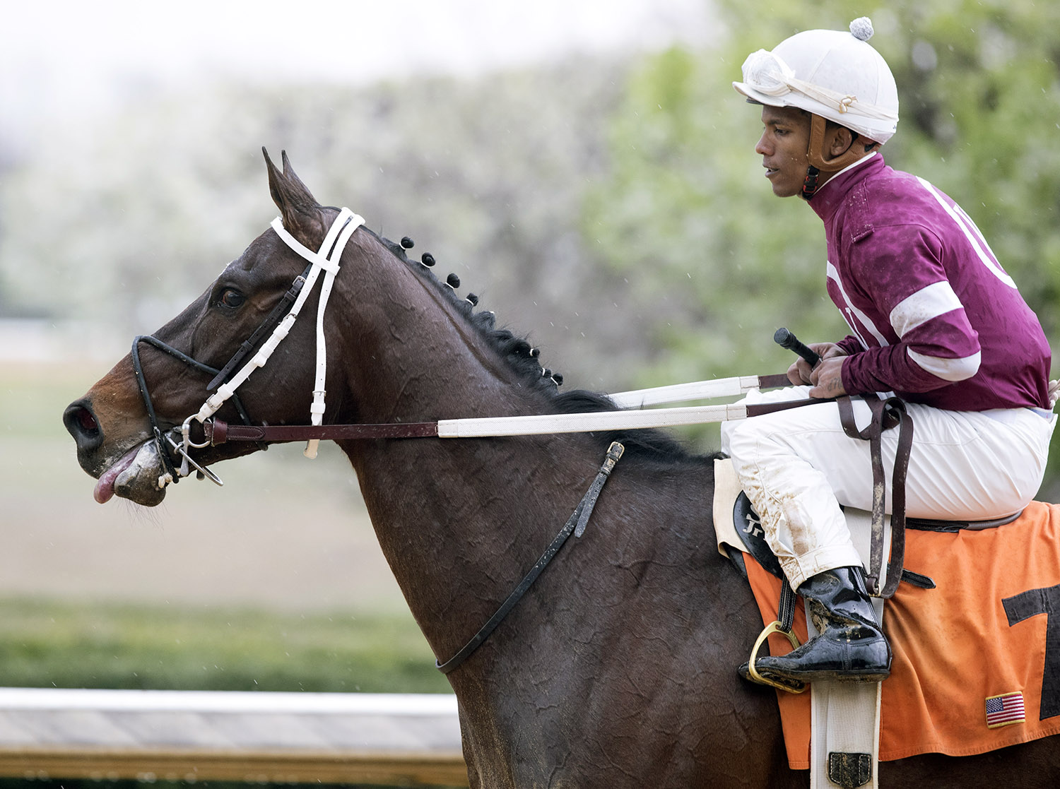 Tenfold wins a March 18 allowance race at Oaklawn