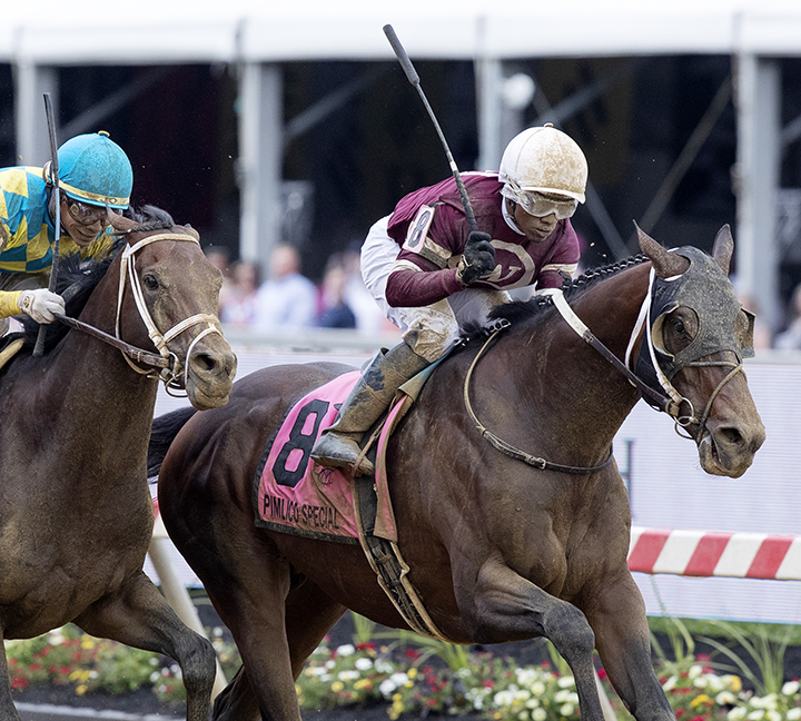 Tenfold wins the 2019 Pimlico Special