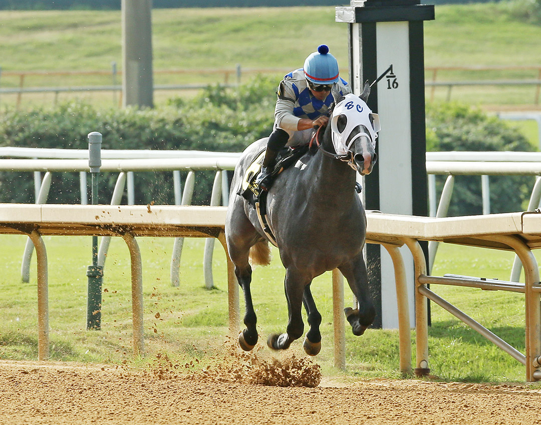 Tengo Mis Papeles wins the 2021 Texas Stallion Futurity, colts and geldings division
