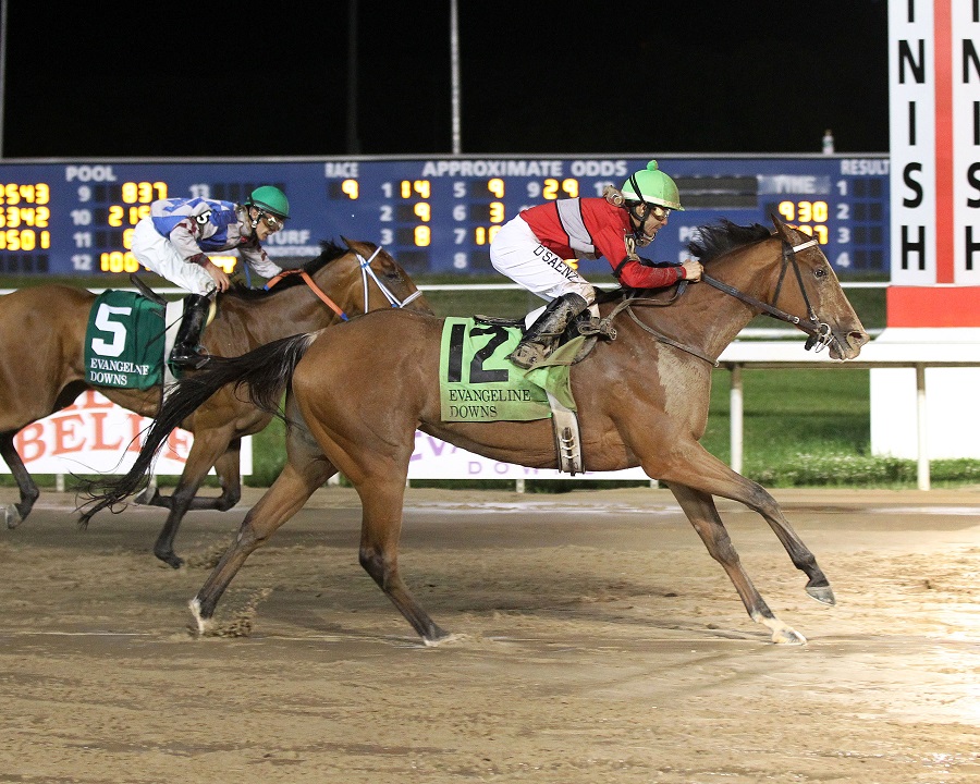 Tensas Harbor wins 2015 Matron